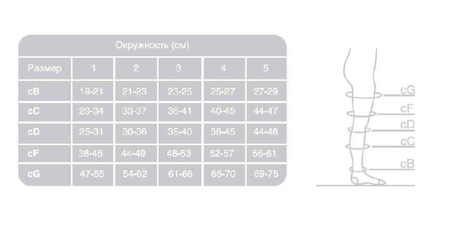 Противоэмболические чулки 227 Ergoforma, 2 класс купить в OrtoMir24